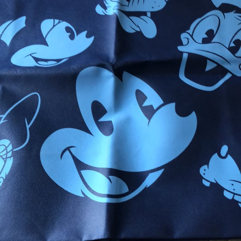 NWOT- Large Disneyland Tote